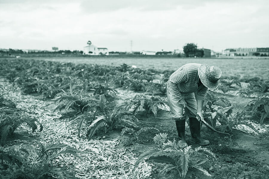 València acull una de les agricultures més antigues d’Europa, herència de civilitzacions mil·lenàries que han sabut gestionar fins als nostres dies unes condicions privilegiades de clima, aigua i sòl. AVA-ASAJA defensa un futur digne per als agricultors, perquè ells seran, en el futur, els qui preservaran este paisatge singular i irrenunciable.