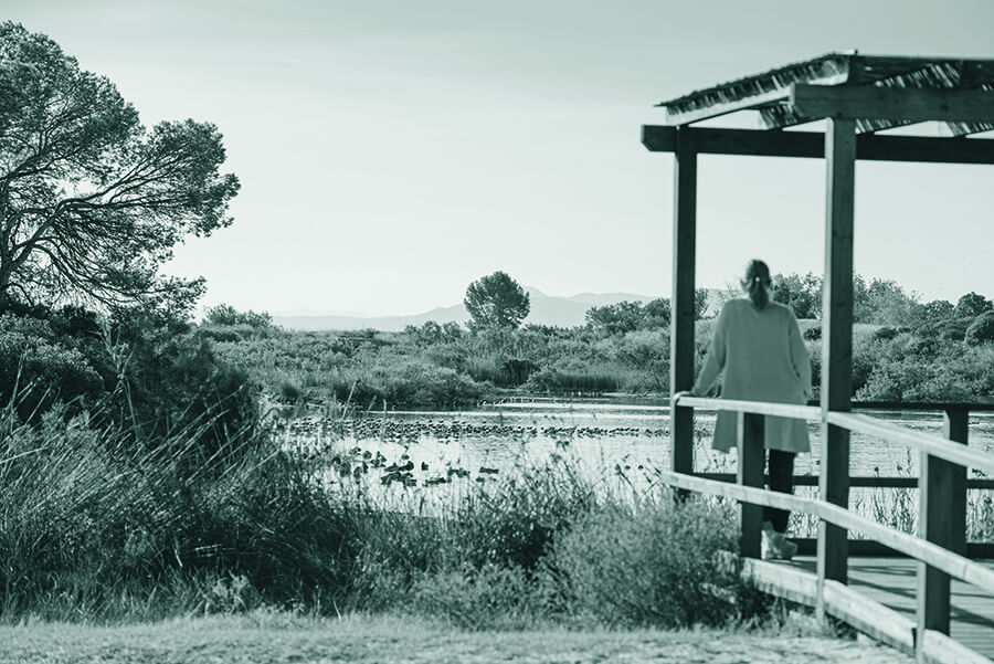 El Jardí del Túria vertebra València com una gran banda verda, i la seua connexió a la mar a Natzaret és clau. També destaca la recuperació del Parc Natural del Túria després de les crescudes de 2024. Els enginyers agrònoms som essencials en el disseny de jardins urbans i la gestió de l'horta i l'Albufera, equilibrant sostenibilitat i desenvolupament.