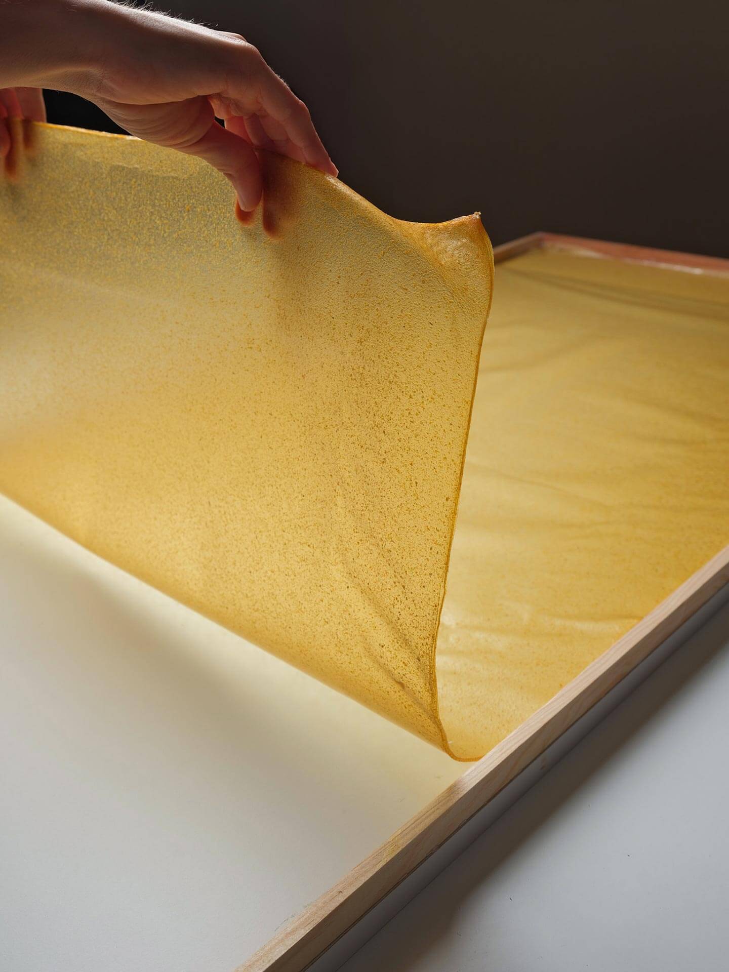 Làmina de biomaterial I